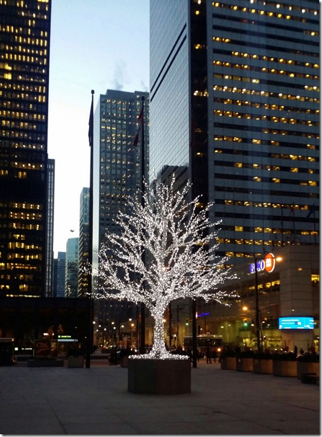 Tree-of-Lights-2W- Downtown Toronto