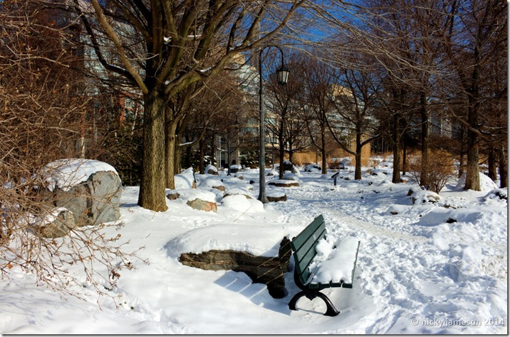 Music Garden Winter, Toronto Music Garden in Winter art photograph by Nicky Jameson